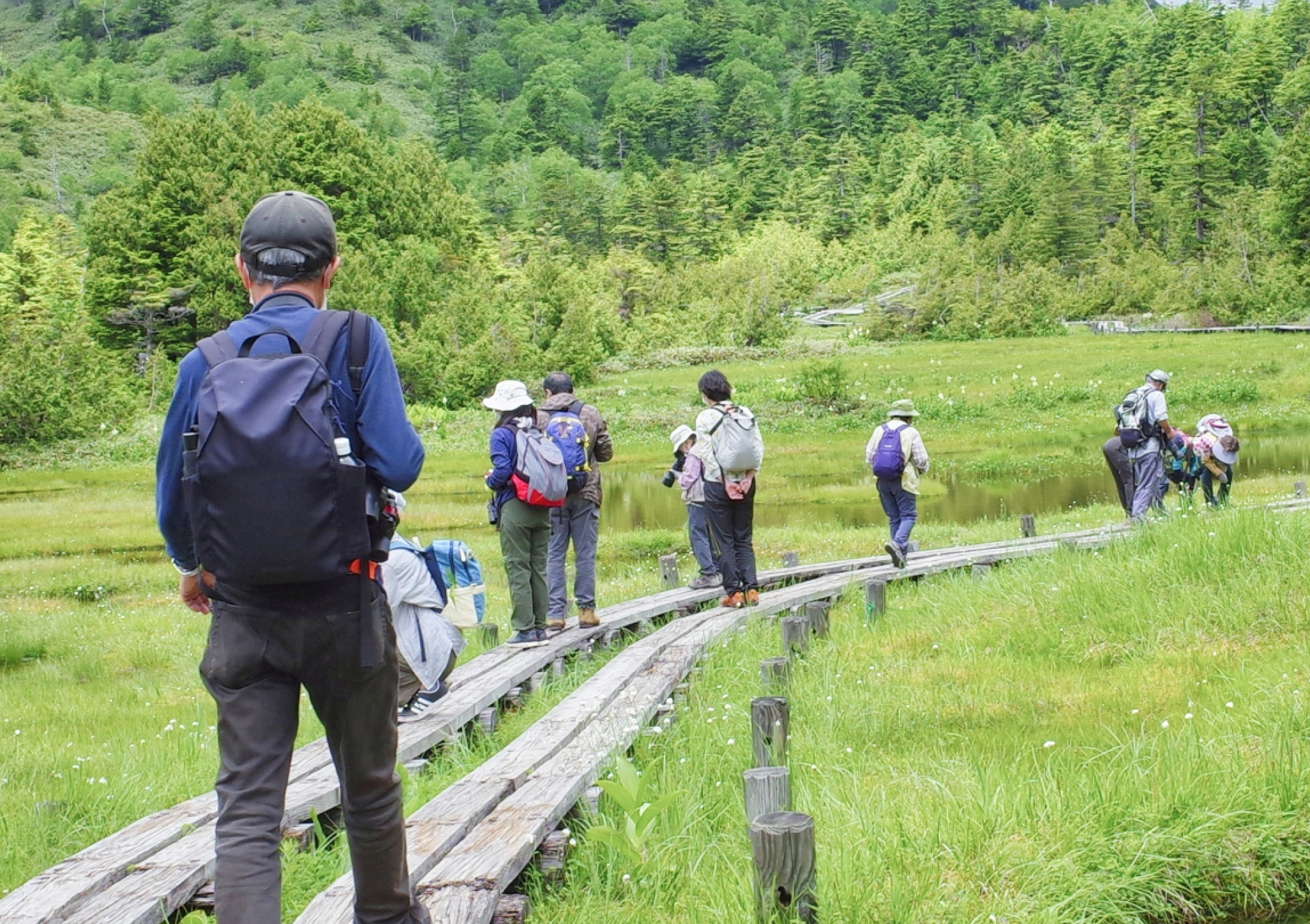 シルバー世代様向け