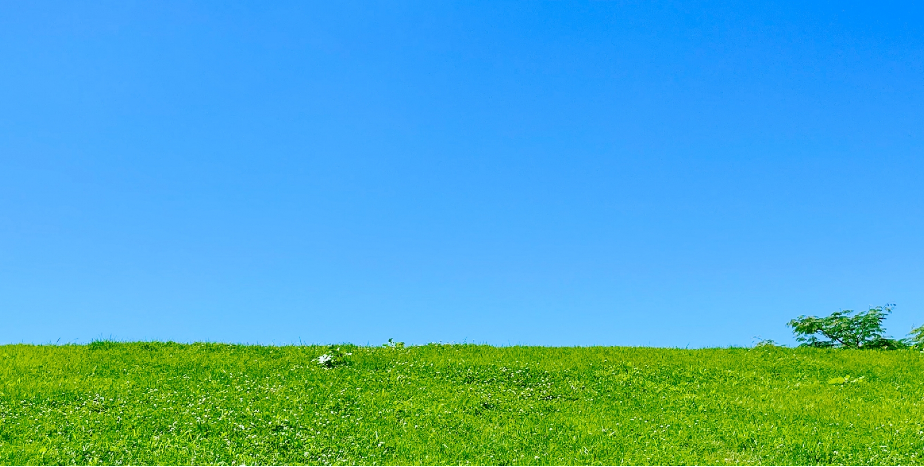 大分・宇佐の旅行社「晴るく(はるく)」
