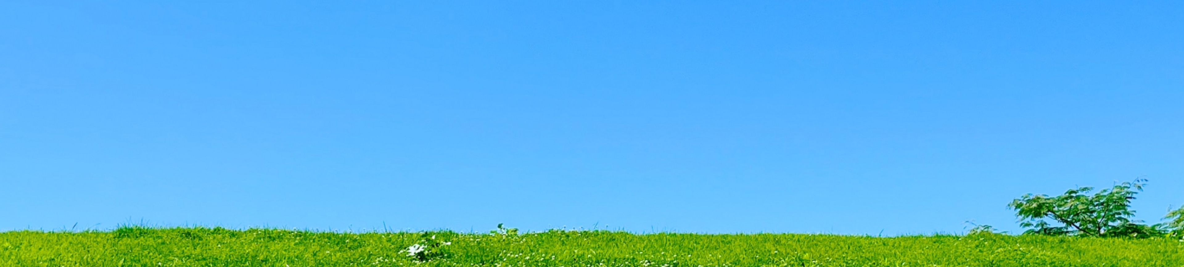 大分・宇佐の旅行社「晴るく(はるく)」からのお知らせ